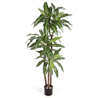 Umělá palma Dracena FRAGRANS deluxe pestrá, 145cm