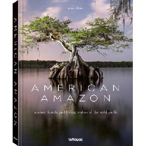 American Amazon | Mac Stone (ISBN: 9783961717538)