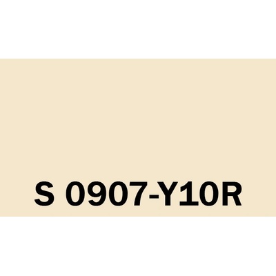 Het Soldecol Unicoat SM 5l NCS S 0907-Y10R