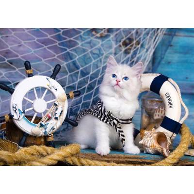 Enjoy - Puzzle Captain Kitten - 1 000 piese