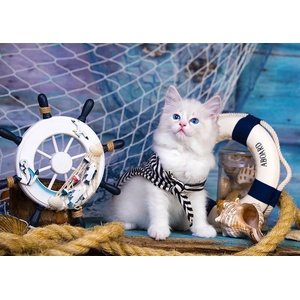 Enjoy - Puzzle Captain Kitten - 1 000 piese