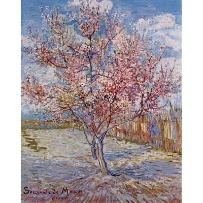 Plagát, Obraz - Souvenir de Mauve (1888), Vincent van Gogh, 30 × 40 cm