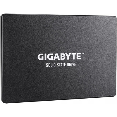 Gigabyte 1TB, GP-GSTFS31100TNTD
