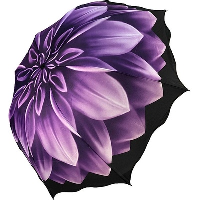 Fialový květ deštník černo fialový
