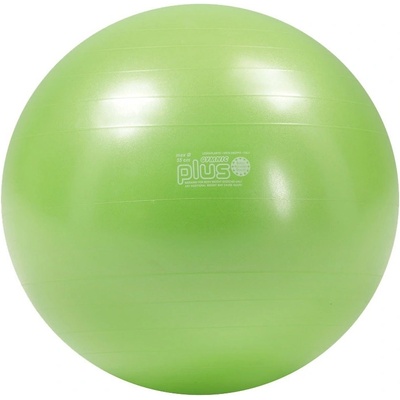 Gymnic plus 55 cm