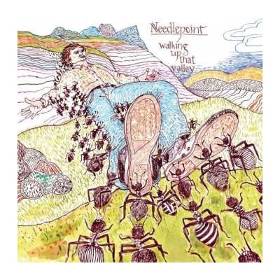 Needlepoint - Walking Up That Valley LP