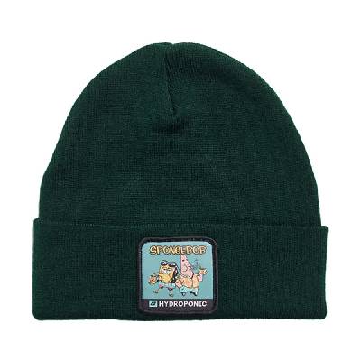 Шапка Hydroponic Sb duo bn beanie - Green (Dark Green)