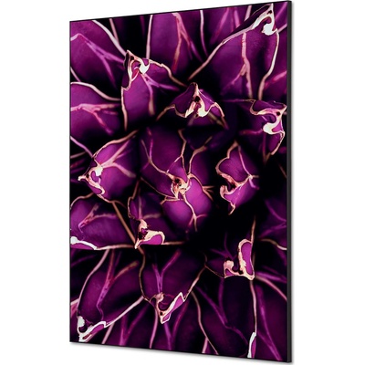 Jansen Display Textilní dekorace na zeď A1 Cactus nachový, 594 x 841 mm