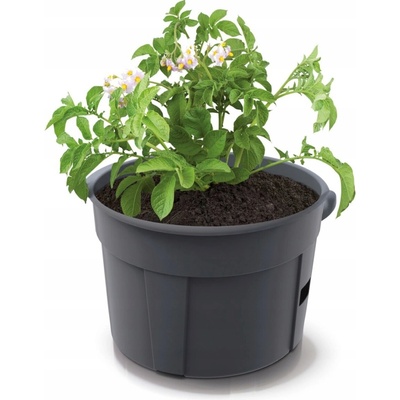 Kvetináč na pestovanie zemiakov POTATO Grower antracit 39,2cm