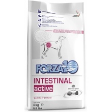 Forza 10 Intestinal Active Nutraceutická výživa na problémy so zažívacím traktom 4 kg