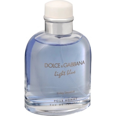 Dolce & Gabbana Light Blue Living Stromboli toaletní voda pánská 125 ml tester