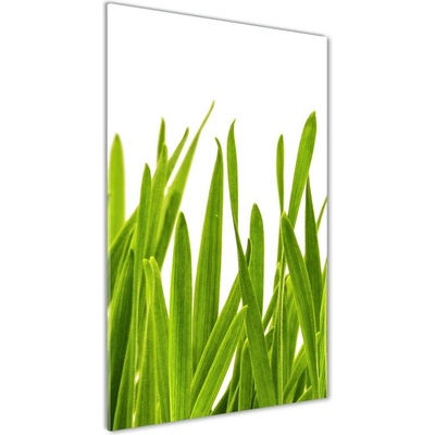 Vertikálny foto obraz sklenený Zelená tráva 50x100 cm