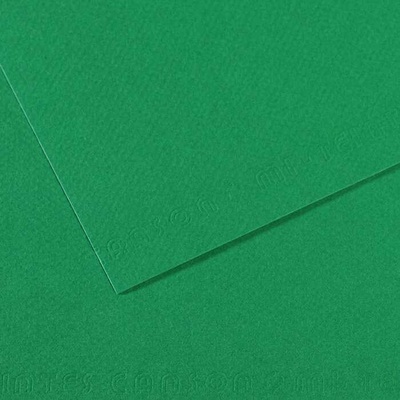 Canson Tónovaný papier Mi-Teintes 50 x 65 cm 160 g/m²Viridiánová 575