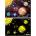 Educa - Puzzle Solar System 4 - 1 000 piese