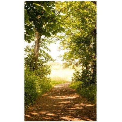 DIMEX ART Флизелинов фототапет горска пътека 150 x 250 см