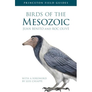 Birds of the Mesozoic (ISBN: 9780691266565)