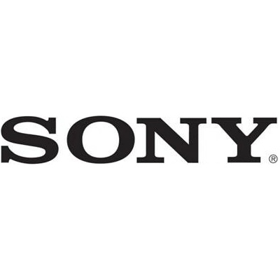 SONY WHCH520Y.CE7