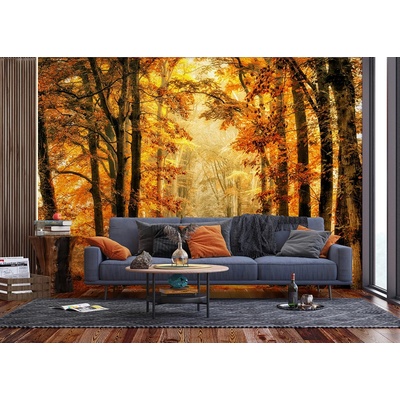 AG design FTNXXL-3009 vliesová fototapeta Golden Path rozměry 360 x 270 cm