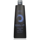 Bes Cool it tónovací šampon 300 ml