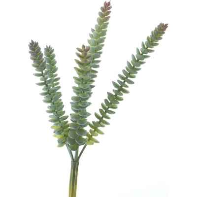 Tlustice (Crassula) 'Hottentot zelená V28 cm