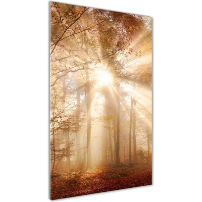 Vertikálny foto obraz sklo tvrdené Les na jeseň 50x100 cm