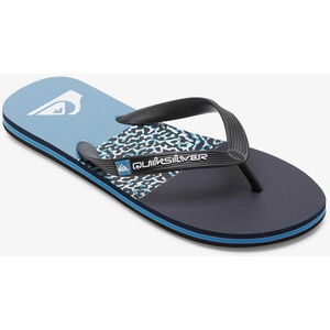 Quiksilver Джапанки molokai stripe (aqyl101361-byj1)
