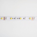 Eco Light EC79875