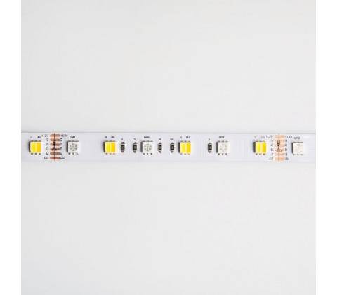 Eco Light EC79875