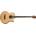 Tanglewood TRU 7-AB