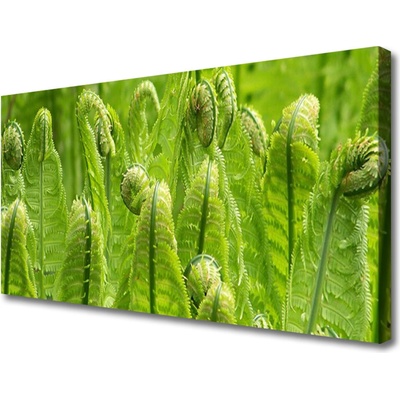 Obraz Canvas Rastlina príroda 100x50 cm