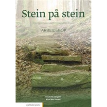 Stein på stein. Arbeidsbok. Level B1