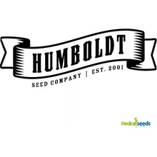 Humboldt Seed Company Pistachio semena neobsahují THC 3 ks