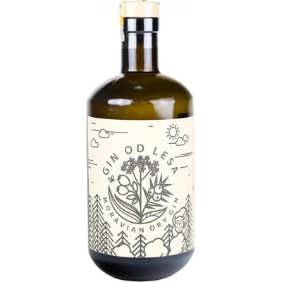 TŌSH Gin Od lesa 45% 0.7 l (karton)