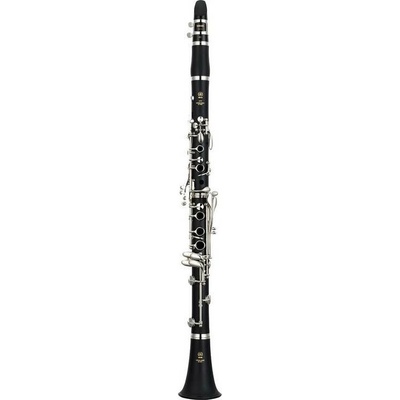 Yamaha YCL 255 ES SET
