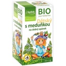 Apotheke Bio ovocný s meduňkou 20 x 2 g