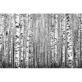 DIMEX ART s. r. o Флизелинов фототапет пролетни стволове 375 x 250 см