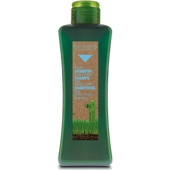 Salerm Biokera Scalp Care šampon pro citlivou pokožku 1000 ml
