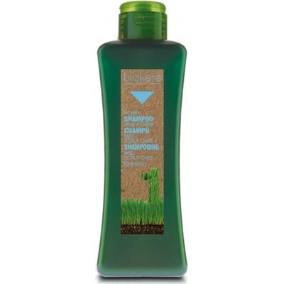 Salerm Biokera Scalp Care šampon pro citlivou pokožku 1000 ml