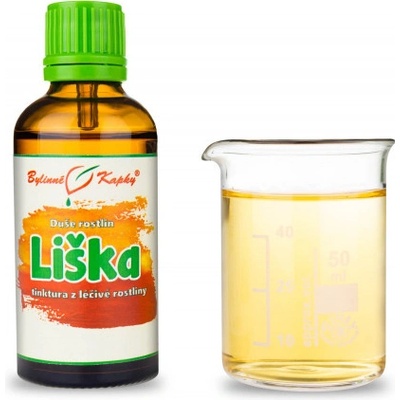 Bylinné kapky Líška obyčajná kvapky Duša rastlín tinktúra 50 ml