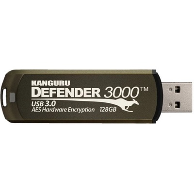iStorage Kanguru Defender 3000 32GB (KDF3000-32G)