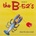 The B-52's - Dance This Mess Around (Best of The B-52's) (Reissue) (LP) (600753594865)