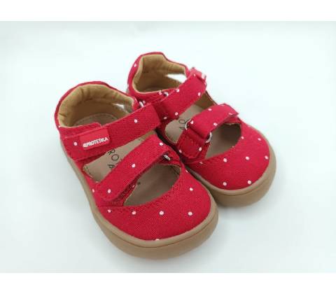 Protetika Tafi red