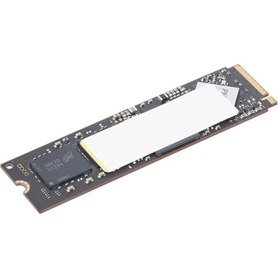 Lenovo ThinkPad Performance 2TB, 4XB1T87555