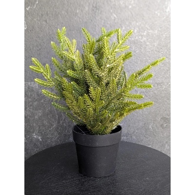 lacne-dekoracie.sk Umelý cypruštek v čiernom kvetináči 081B 26cm