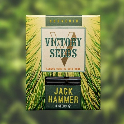 Victory Seeds Jack Hammer semena neobsahují THC 10 ks