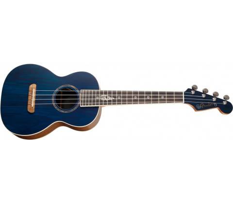 Fender Dhani Harrison
