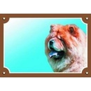 Ostatní pomůcky pro psy Dafiko Tabulka Čau-čau