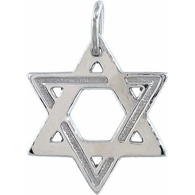 Infinitysilver Stříbrný přívěsek hvězda Davidova 441209