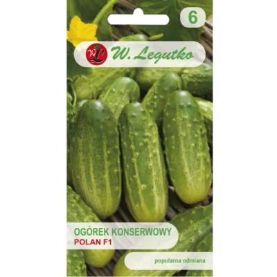 W. Legutko Полан f1 полски краставици за консервиране - средно ранна сорт