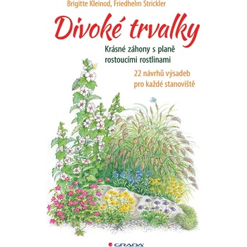 Divoké trvalky